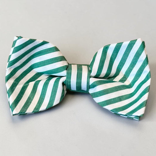 Green and White Bow tie