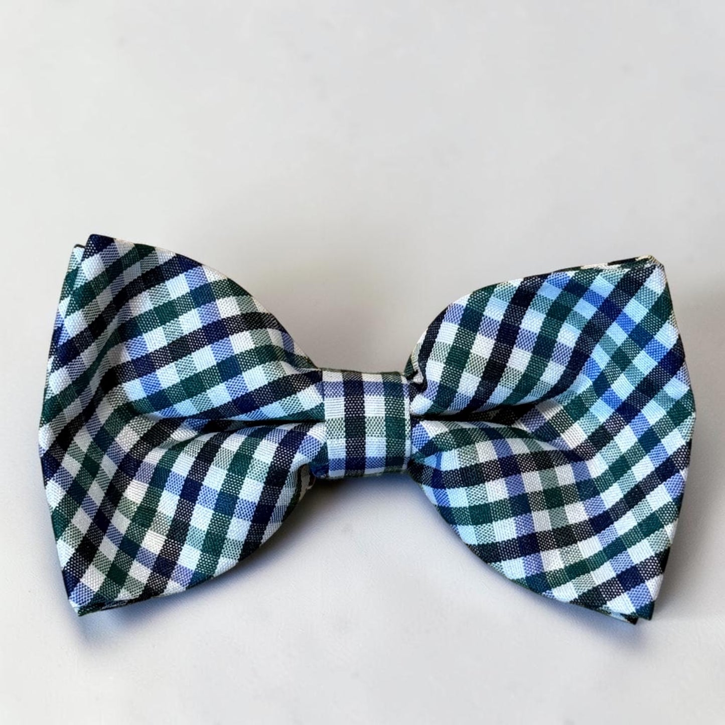 Green and blue Bow tie